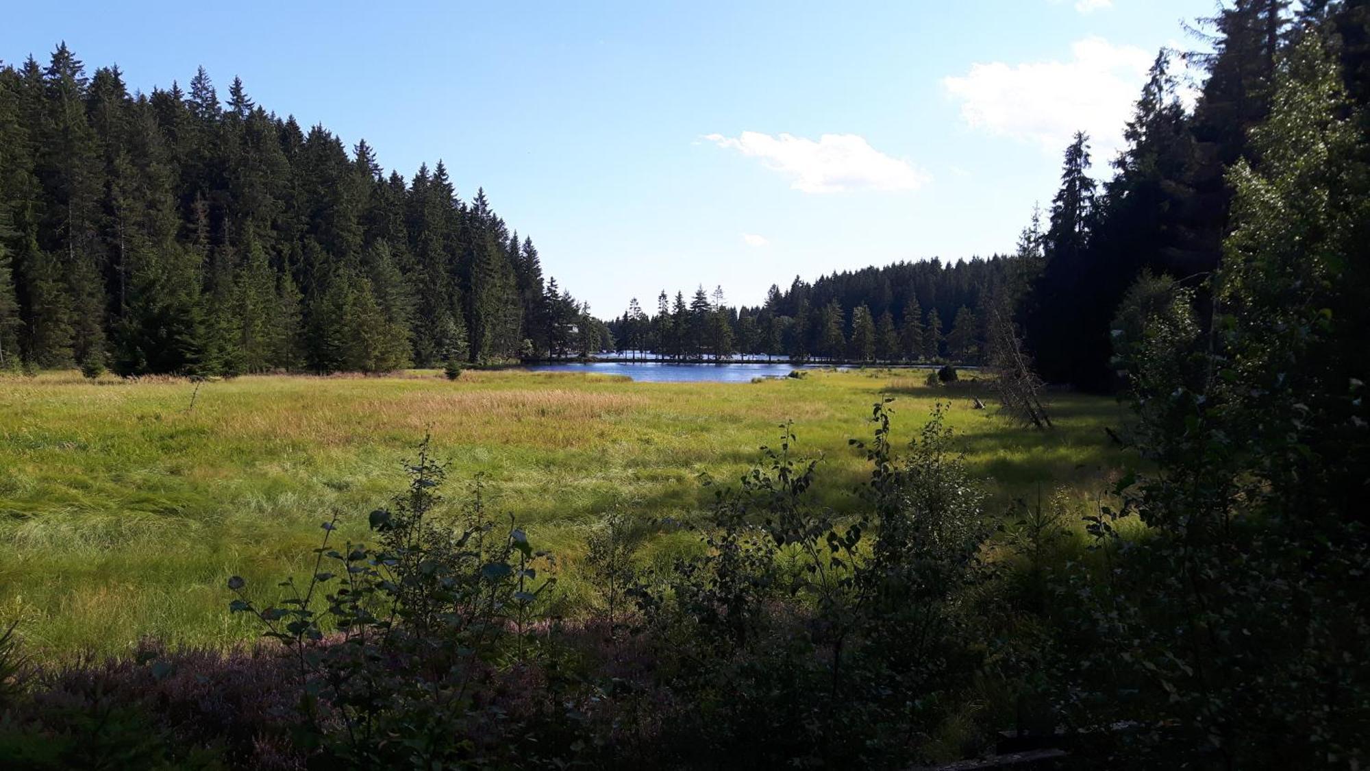 Ferienwohnung Im Bauernhaus Im Fichtelgebirge Gefrees Esterno foto